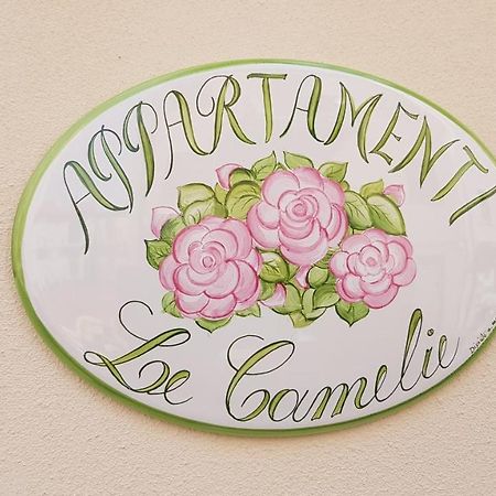 Le Camelie -Appartamenti Nuovi Porto SantʼElpidio Kültér fotó