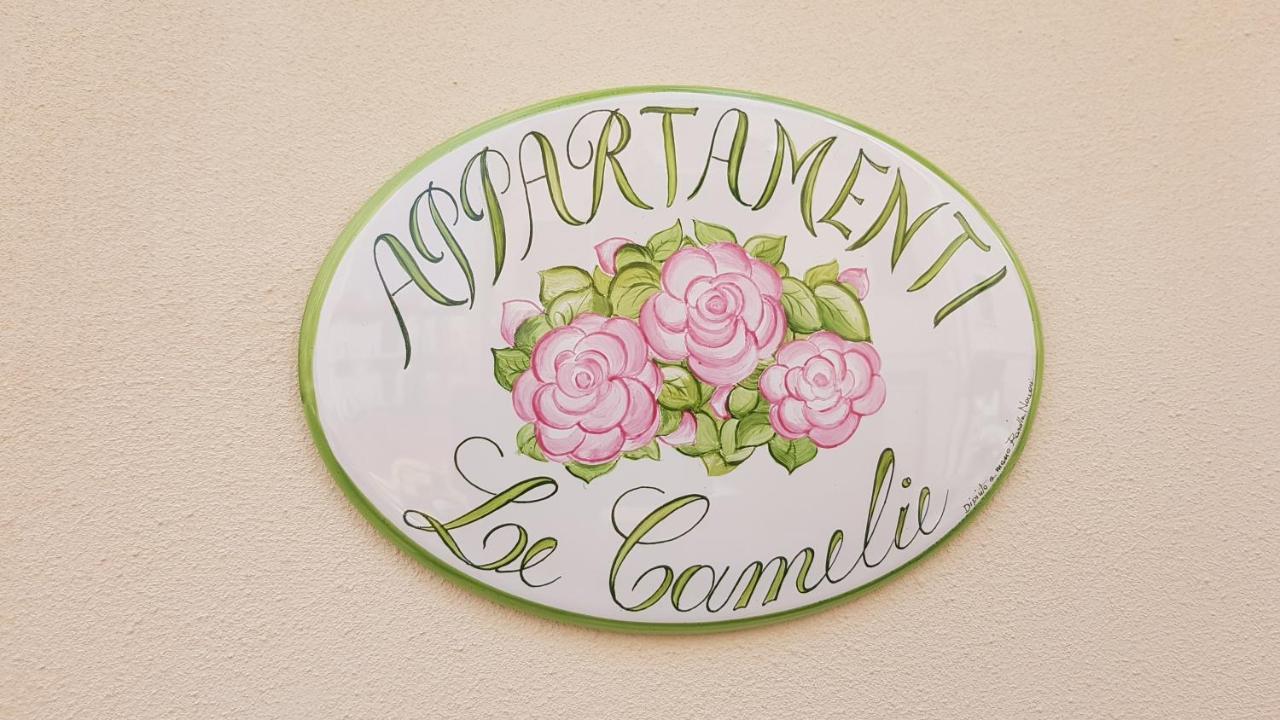 Le Camelie -Appartamenti Nuovi Porto SantʼElpidio Kültér fotó